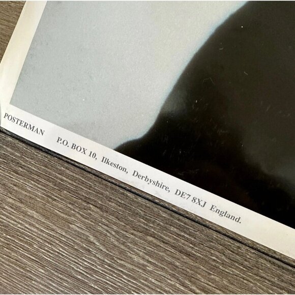 Vintage Natalie Merchant 10,000 Maniacs Poster 33x23" UK Import Ophelia Rare - Picture 6 of 6